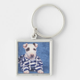 The Bull Terrier is a breed of dog in the Key Ring