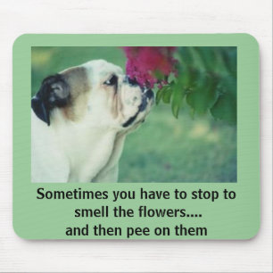 The Bulldog and the Rose Mouse Mat