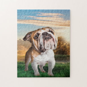 The Bulldog Jigsaw Puzzle