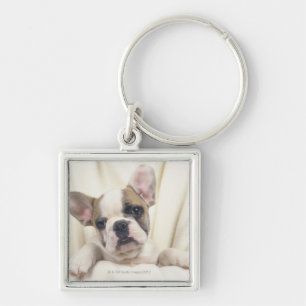 The Bulldog, often called the English Bulldog, 2 Key Ring
