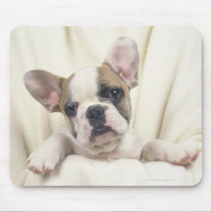 The Bulldog, often called the English Bulldog, 2 Mouse Mat