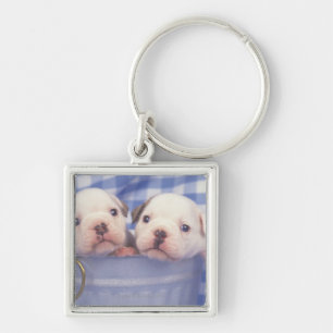 The Bulldog, often called the English Bulldog, Key Ring