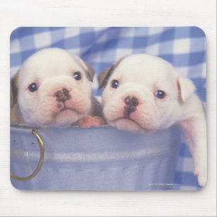 The Bulldog, often called the English Bulldog, Mouse Mat