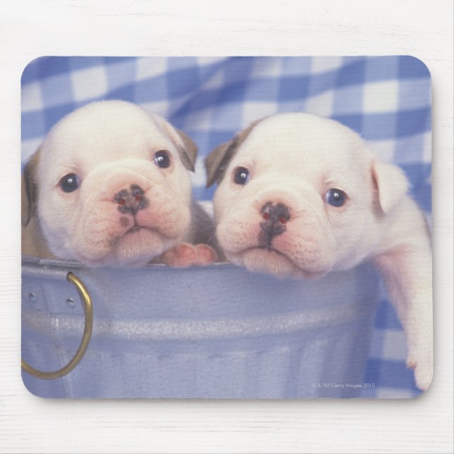 The Bulldog, often called the English Bulldog, Mouse Mat (Front)