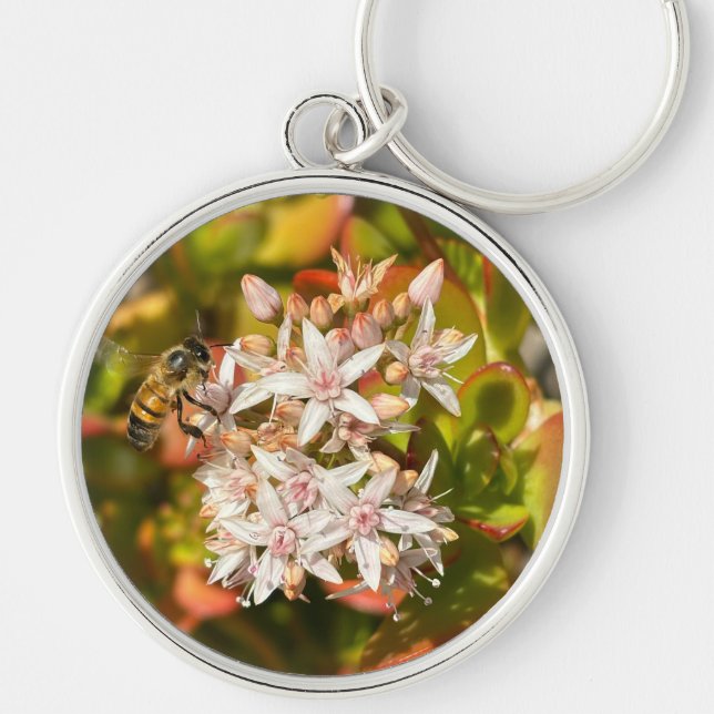 The Bumble Bee, Key Ring (Front)