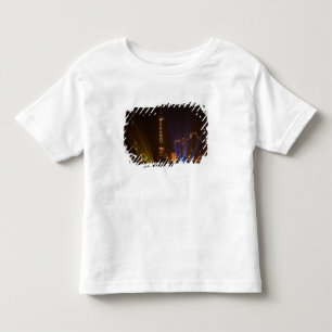 The Bund (waterfront) in Shanghai. Looking Toddler T-Shirt