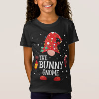 The Bunny Gnome Matching Family Christmas Gnome Pa
