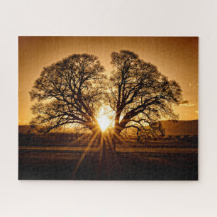 The Burst of Sunset - 16x20 - 520 pcs Jigsaw Puzzle
