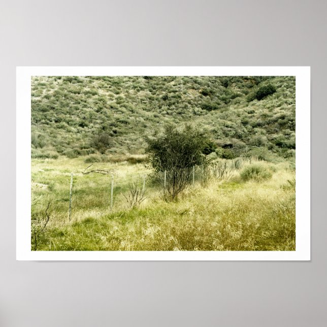 The Bush and the Fence Poster (Front)