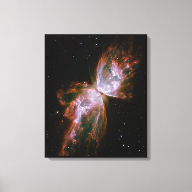 The Butterfly Effect Canvas Print (Front)
