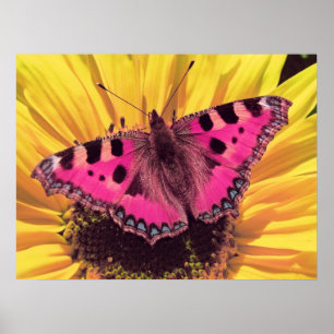 The Butterfly is a Flying Flower Poster