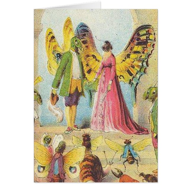 The Butterfly's Ball (Front)