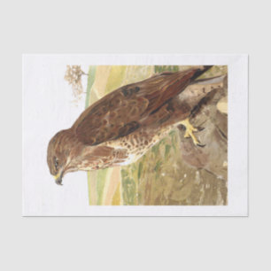 The Buzzard Decoupage Tissue Paper