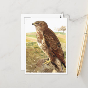 The Buzzard Postcard