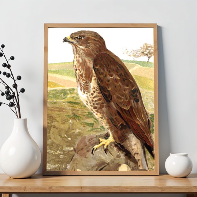The Buzzard Poster (Creator Uploaded)