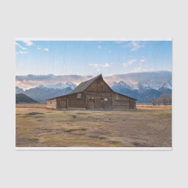 The Cabin is Tipping Its Hat Tissue Paper (Front)