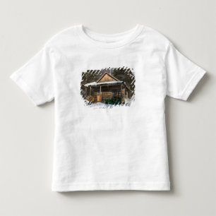 The cabins at the AMC's Little Lyford Pond Toddler T-Shirt