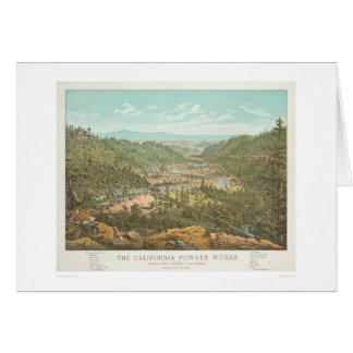 The California Powder Works (1306)