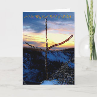 THE CALM BETWEEN THE STORMS HOLIDAY CARD