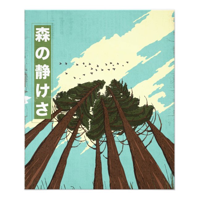The Calm Of The Forest Photo Print (Front)