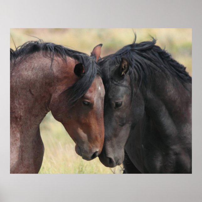 The Calm Poster (Front)