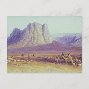 The Camel Train, Condessi, Mount Sinai, 1848 Postcard
