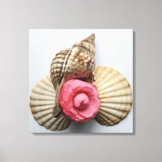 The Camellia And The Shells Canvas Print