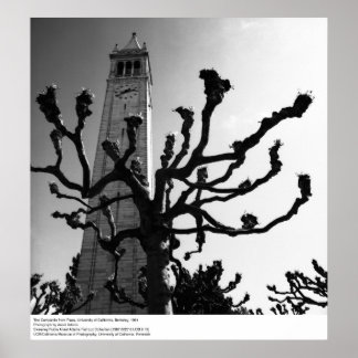 The Campanile from Plaza, UC Berkeley, 1964 Poster