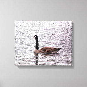 The Canada Goose Canvas Print