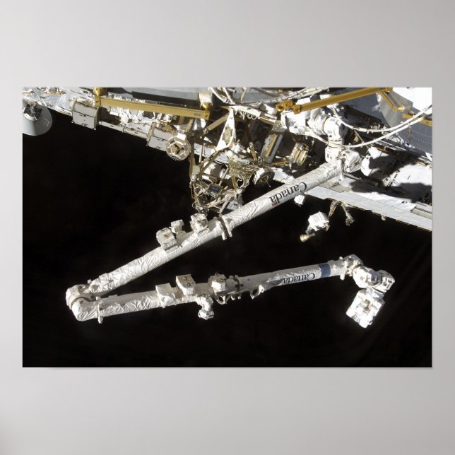 The Canadian-built space station Poster (Front)