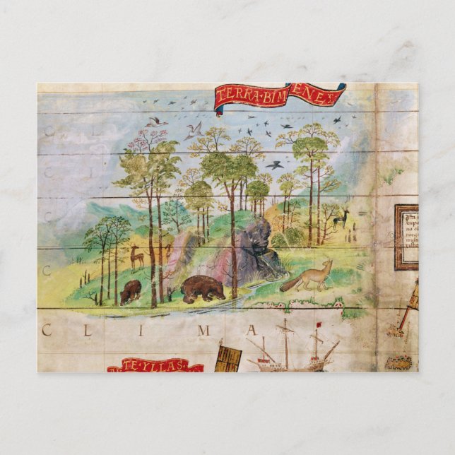 The Canadian Forest Postcard (Front)