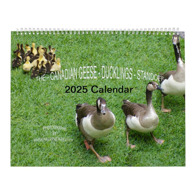 THE *CANADIAN GEESE* - *DUCKLINGS* STANDOFF 2025 CALENDAR (Cover)
