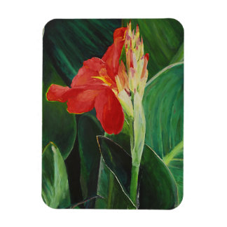 The Canna - Magnet