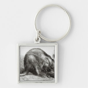 The Cape Ant-Eater Key Ring