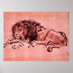 THE CAPE LION LYING DOWN, by Rembrandt Pink Black Poster