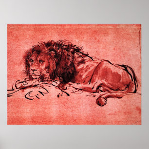 THE CAPE LION LYING DOWN, by Rembrandt Red Black Poster