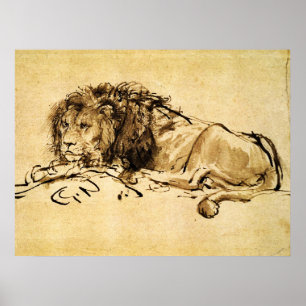 THE CAPE LION LYING DOWN, by Rembrandt Sepia,Black Poster