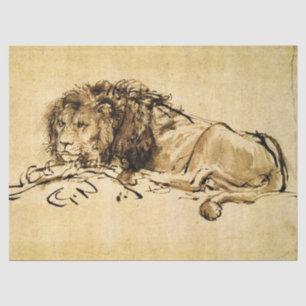 THE CAPE LION LYING DOWN, by Rembrandt Sepia,Black Tissue Paper