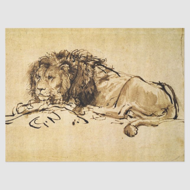 THE CAPE LION LYING DOWN, by Rembrandt Sepia,Black Tissue Paper (Front)