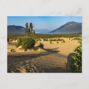 The Carcross Desert in Canada Postcard