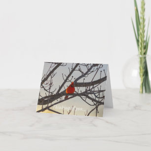 The Cardinal In The Morning Thinking Of You Card