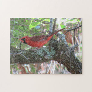 The Cardinal's Lunchtime - Backyard Bird  Jigsaw Puzzle