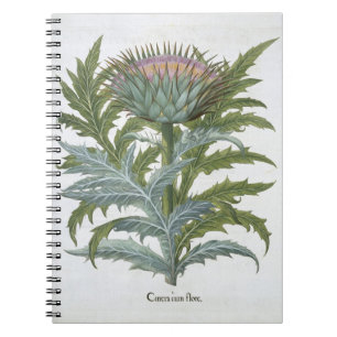 The Cardoon, from the 'Hortus Eystettensis' by Bas Notebook