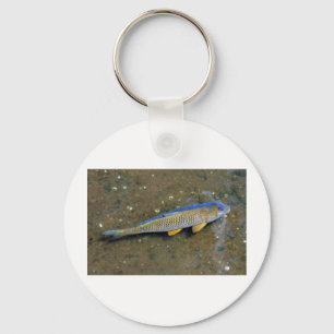 The Carp Key Ring