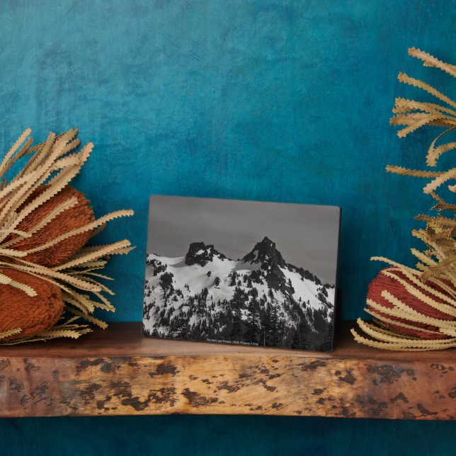 The Castle and Pinnacle Plaque (Side)