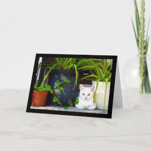 The Cat Amongst the Plants Card