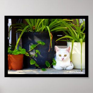 The Cat Amongst the Plants Poster