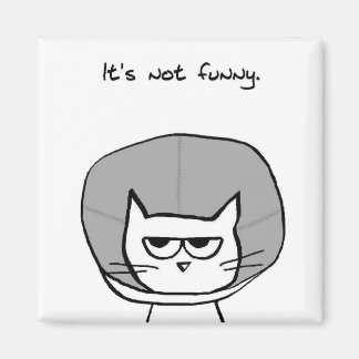 The Cat and the Cone of Shame - Funny Cat Magnet