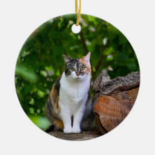 The Cat Ceramic Tree Decoration