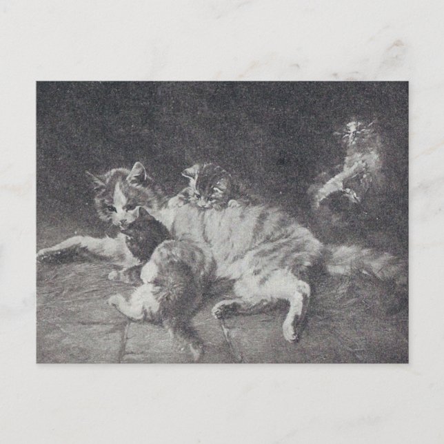 The Cat Family Postcard (Front)